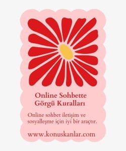 Online Sohbette Görgü Kuralları, Online Sohbette Kullanıcılardan Beklediklerimiz 